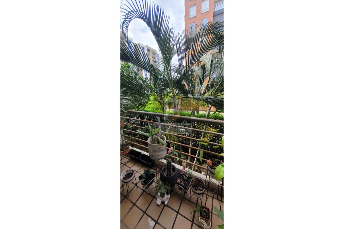 Apartamentos en Venta, Valle del Lili Cali - AV24