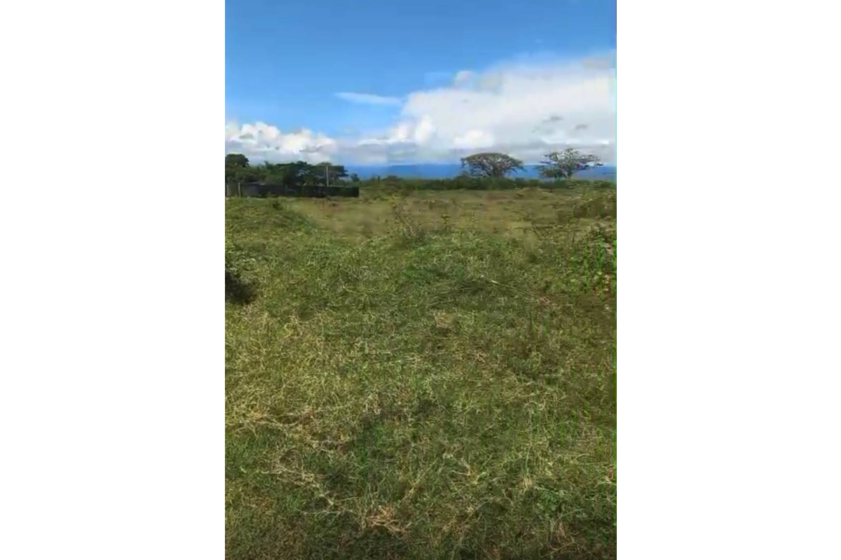 Lote B Esquinero en Venta, Transversal 12 Tulua - LV46